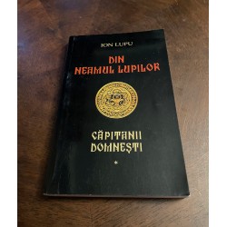 Ion Lupu - DIN NEAMUL...