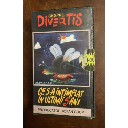 Grupul DIVERTIS – Ce S-a...