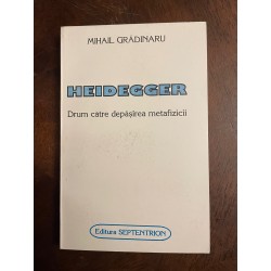 HEIDEGGER Drum catre...
