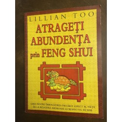 Atrageti Abundenta prin...